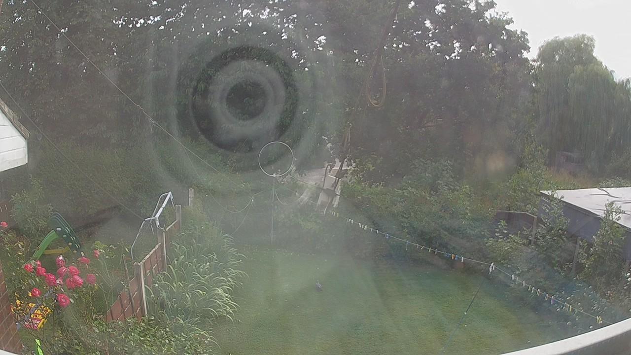 20260729_154720_cam1.jpg