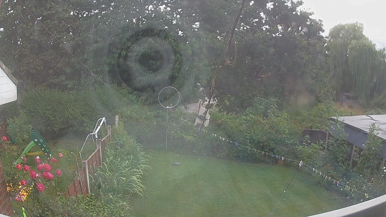 20260729_160116_cam1.jpg