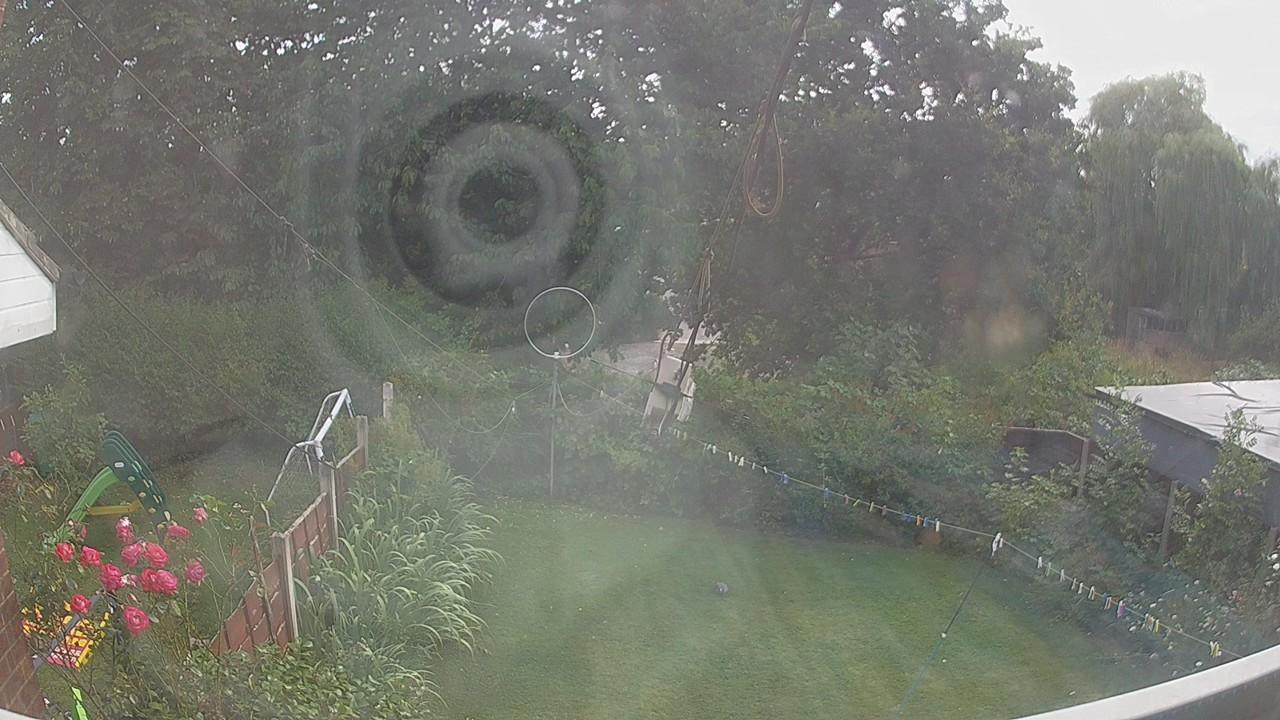 20260729_160440_cam1.jpg