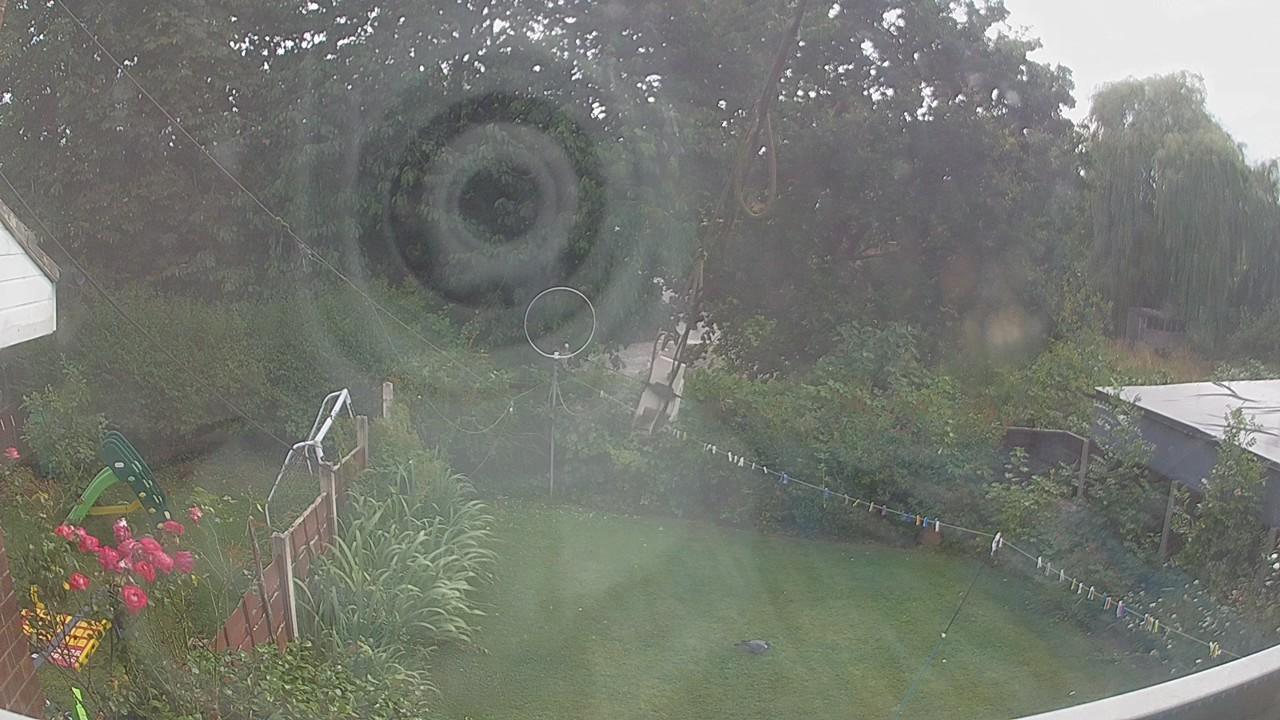 20260729_160805_cam1.jpg