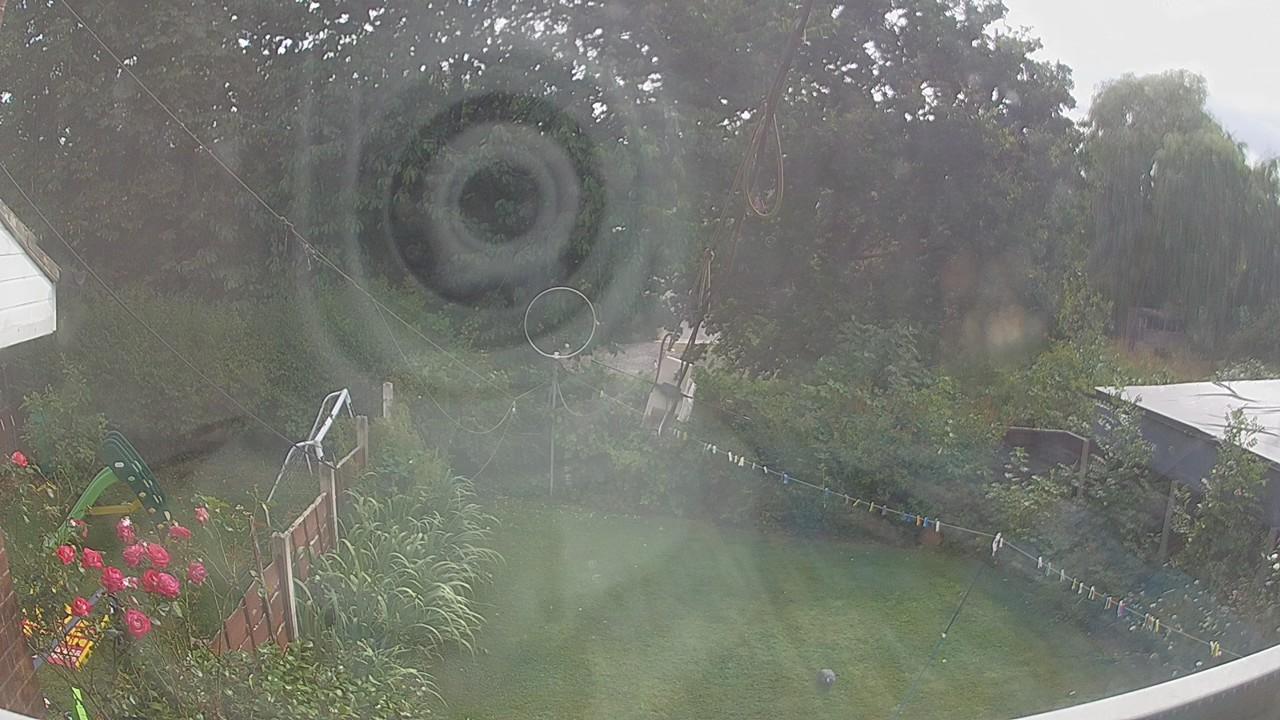 20260729_161130_cam1.jpg