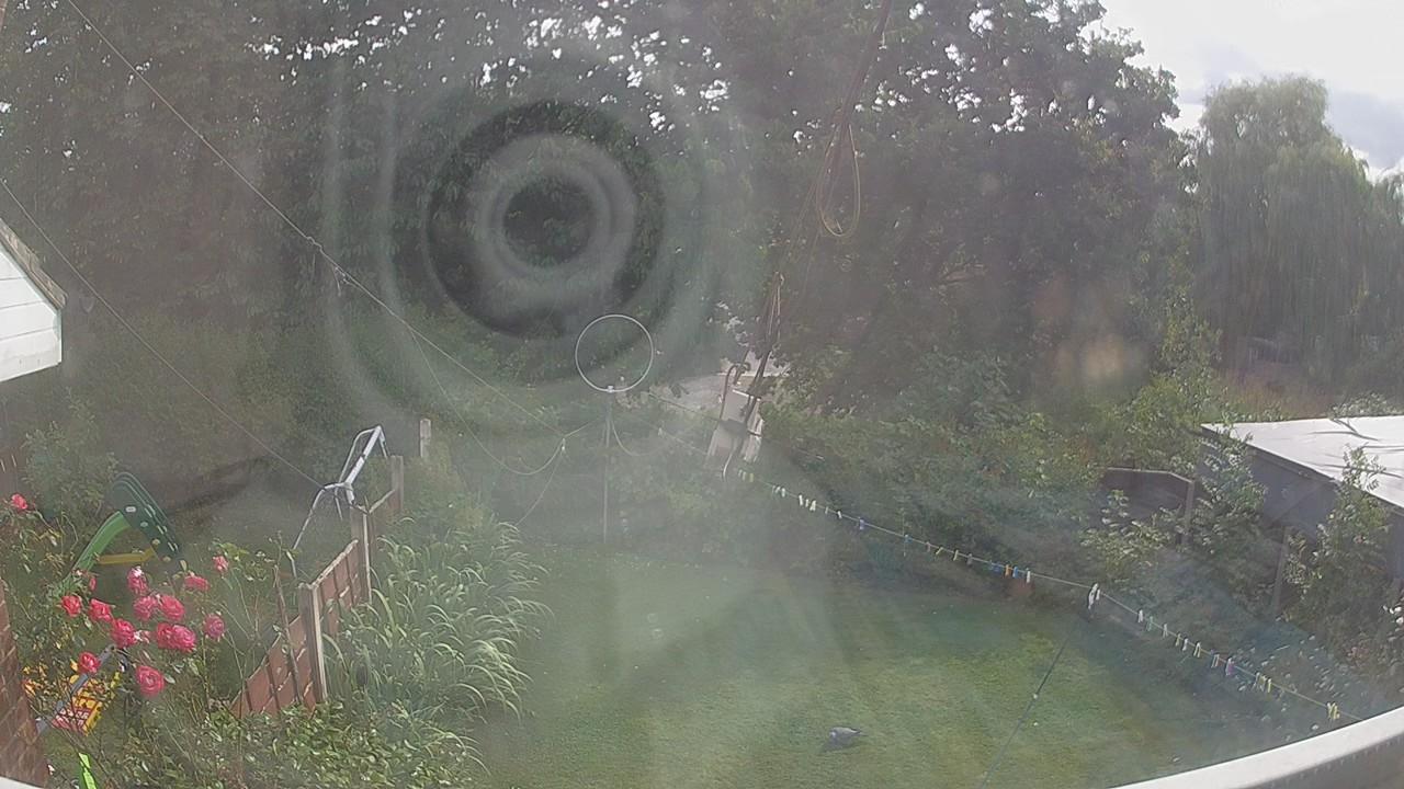 20260729_161454_cam1.jpg