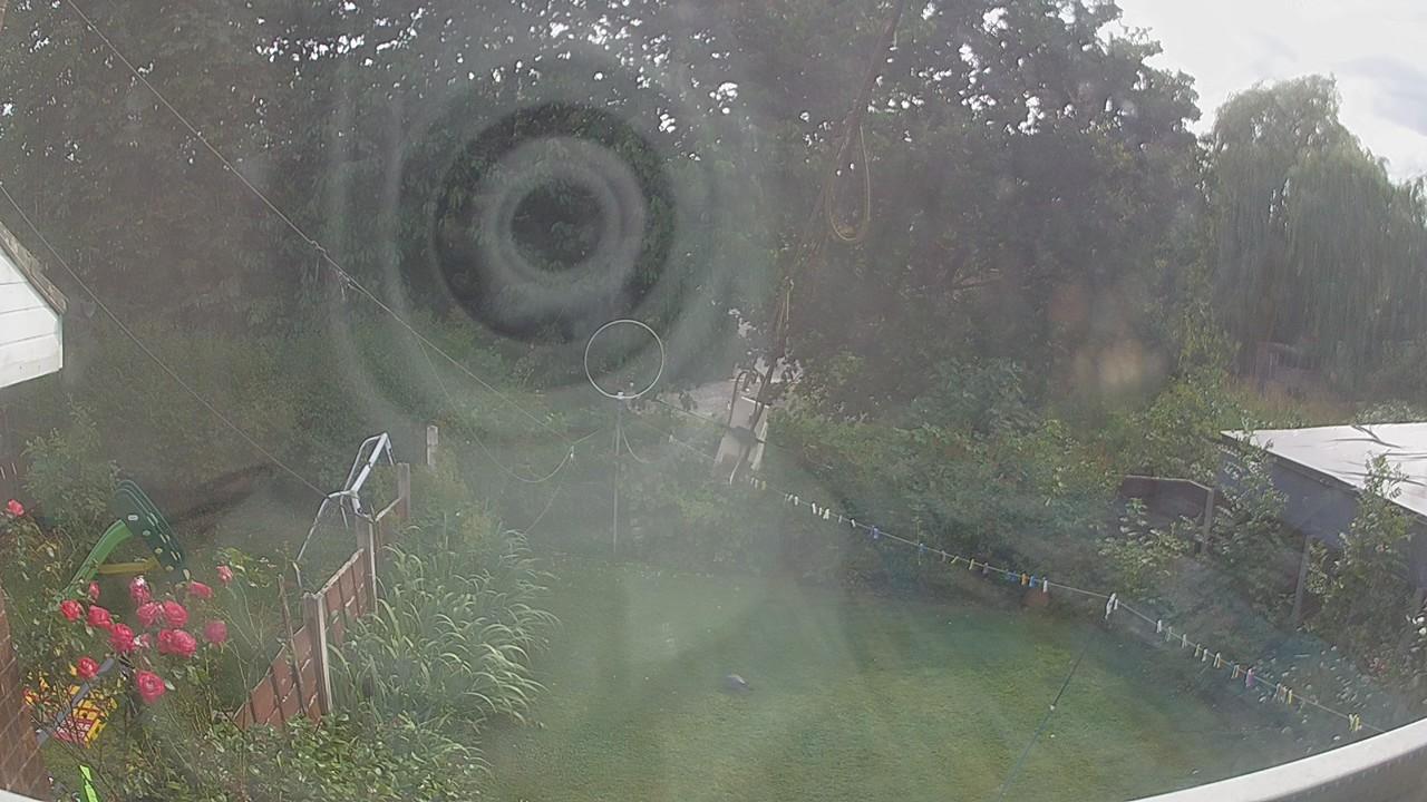 20260729_161818_cam1.jpg