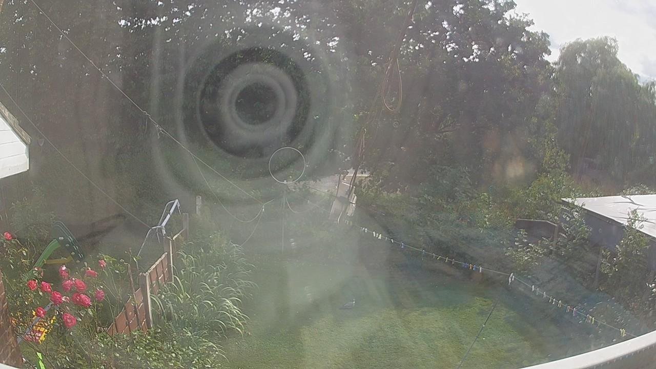 20260729_162142_cam1.jpg