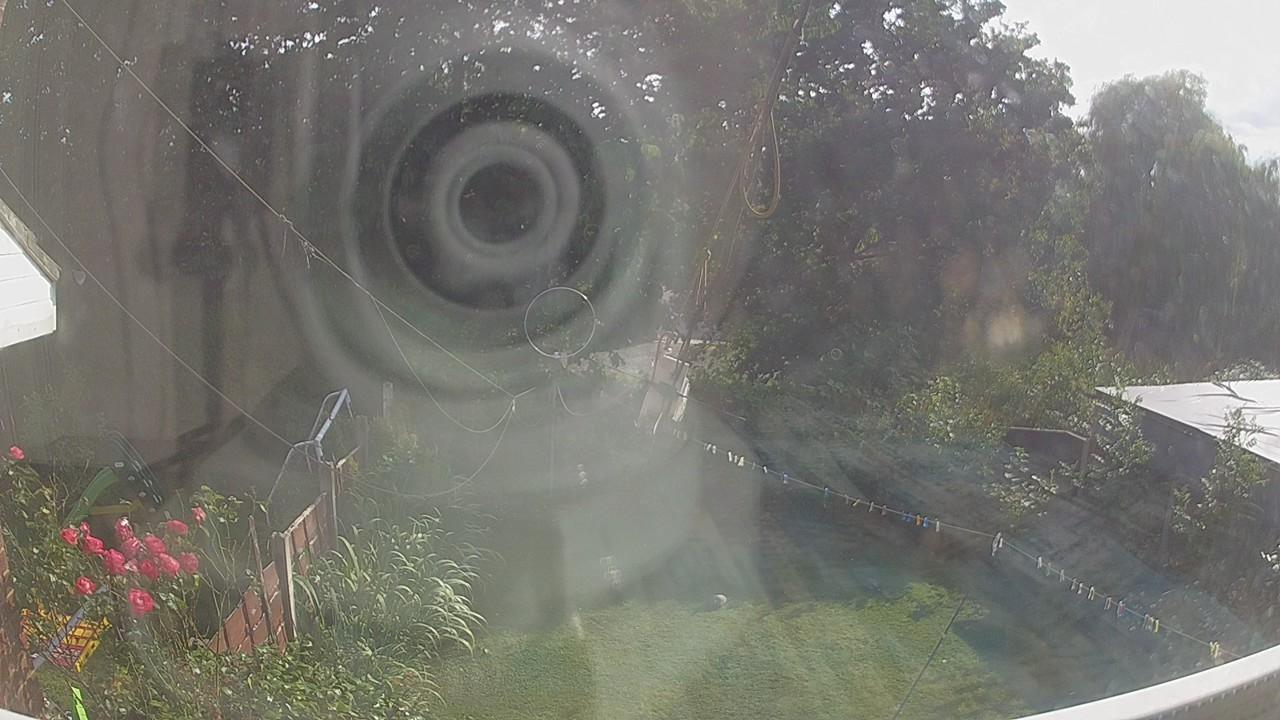 20260729_163954_cam1.jpg