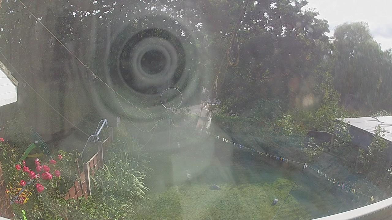 20260729_164336_cam1.jpg