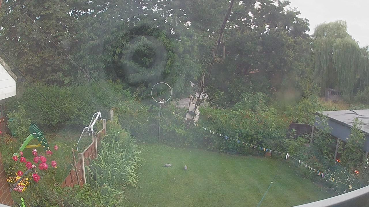 20260729_194257_cam1.jpg