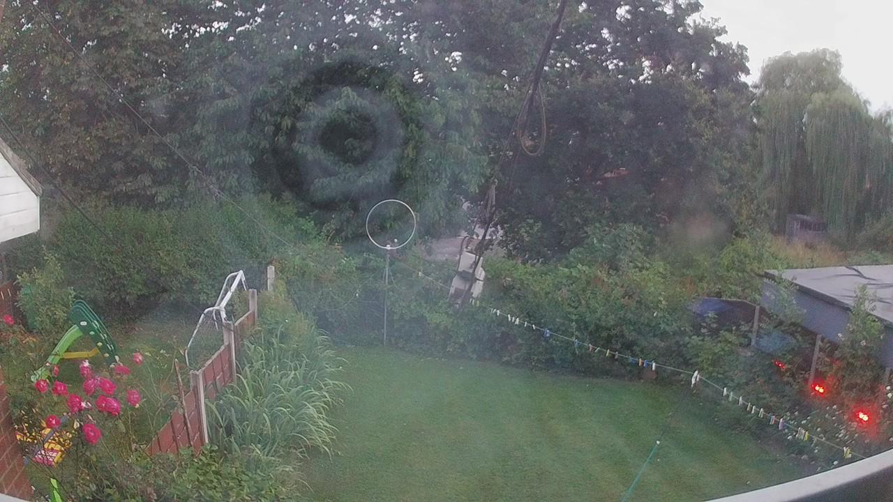 20260729_202545_cam1.jpg
