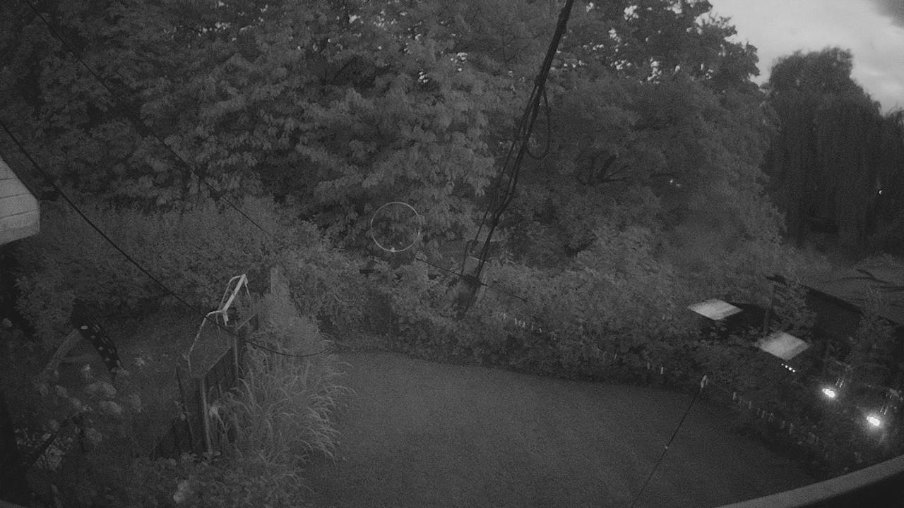20260729_205345_cam1.jpg