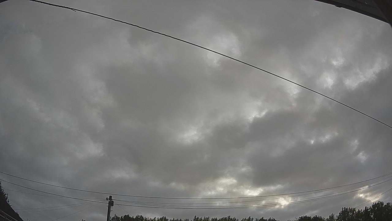 20260730_051211_cam2.jpg