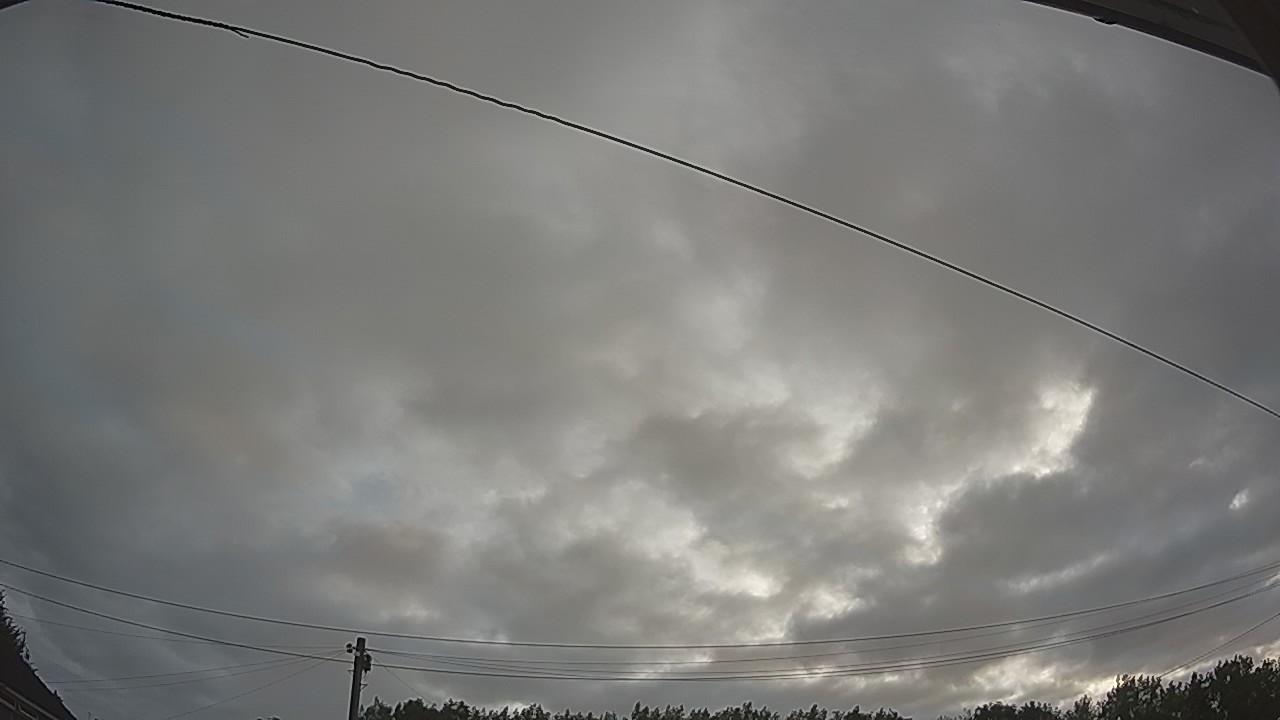 20260730_051641_cam2.jpg