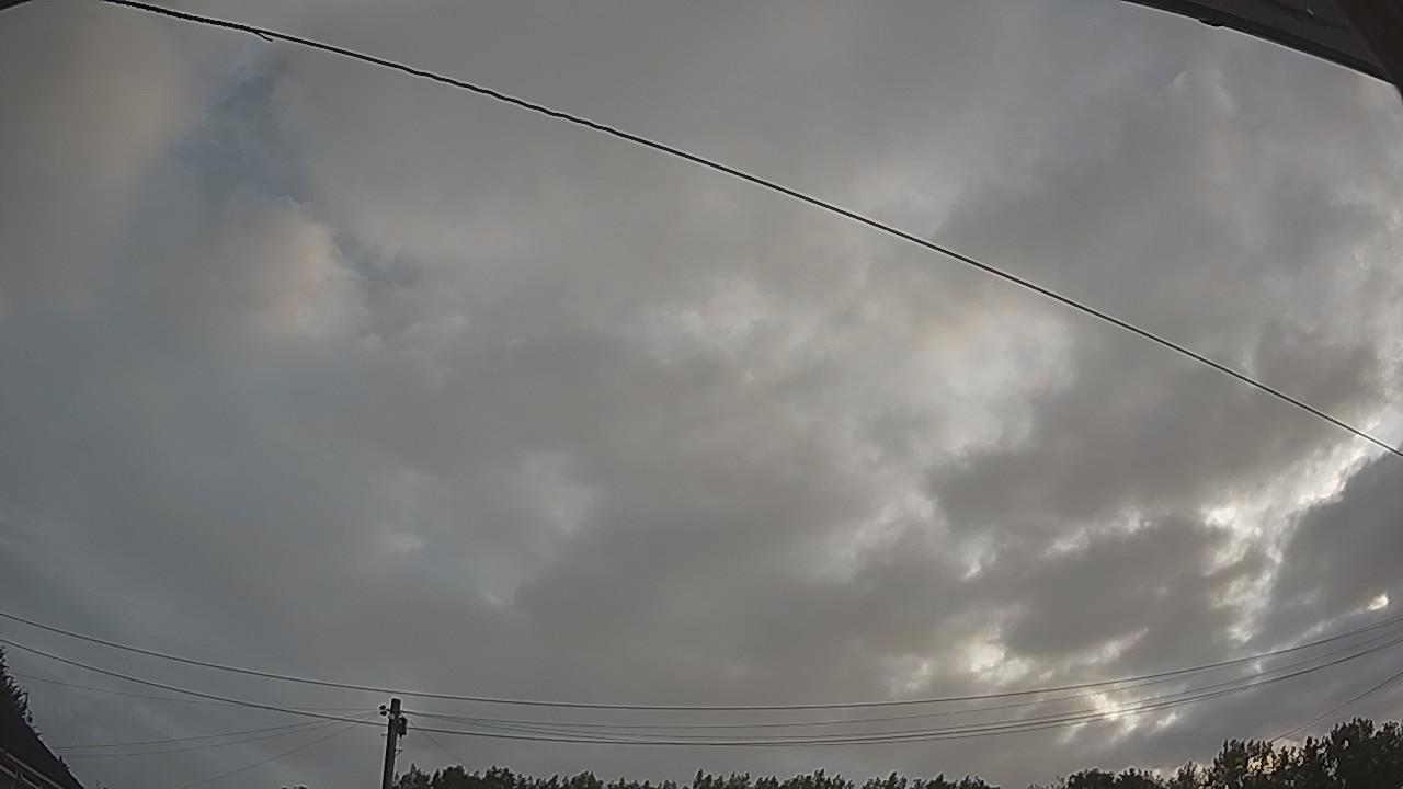 20260730_052109_cam2.jpg