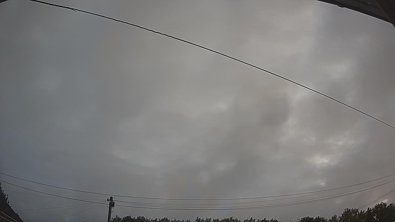 20260730_053004_cam2.jpg