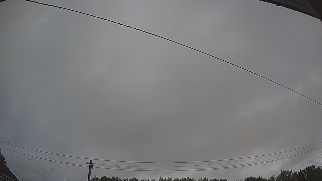 20260730_053859_cam2.jpg