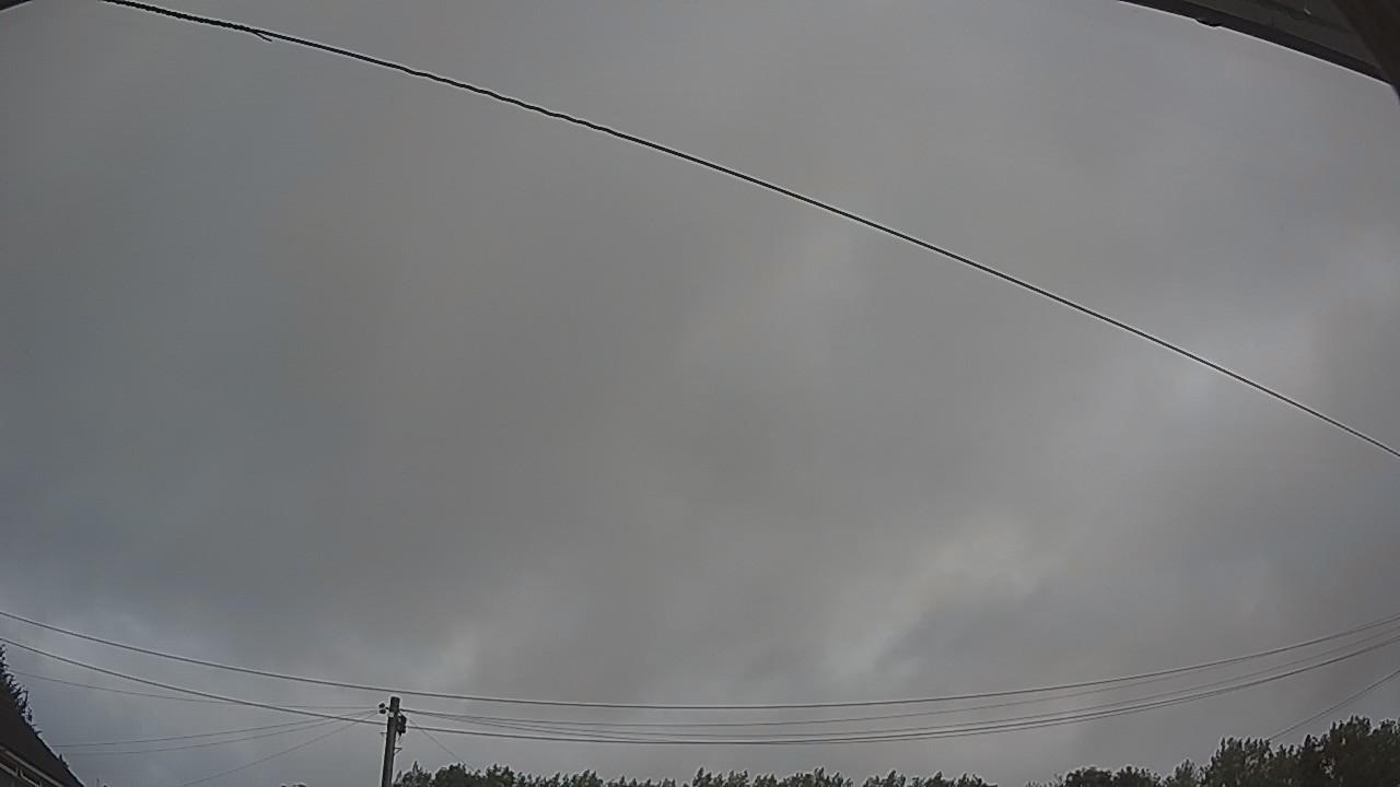 20260730_054327_cam2.jpg