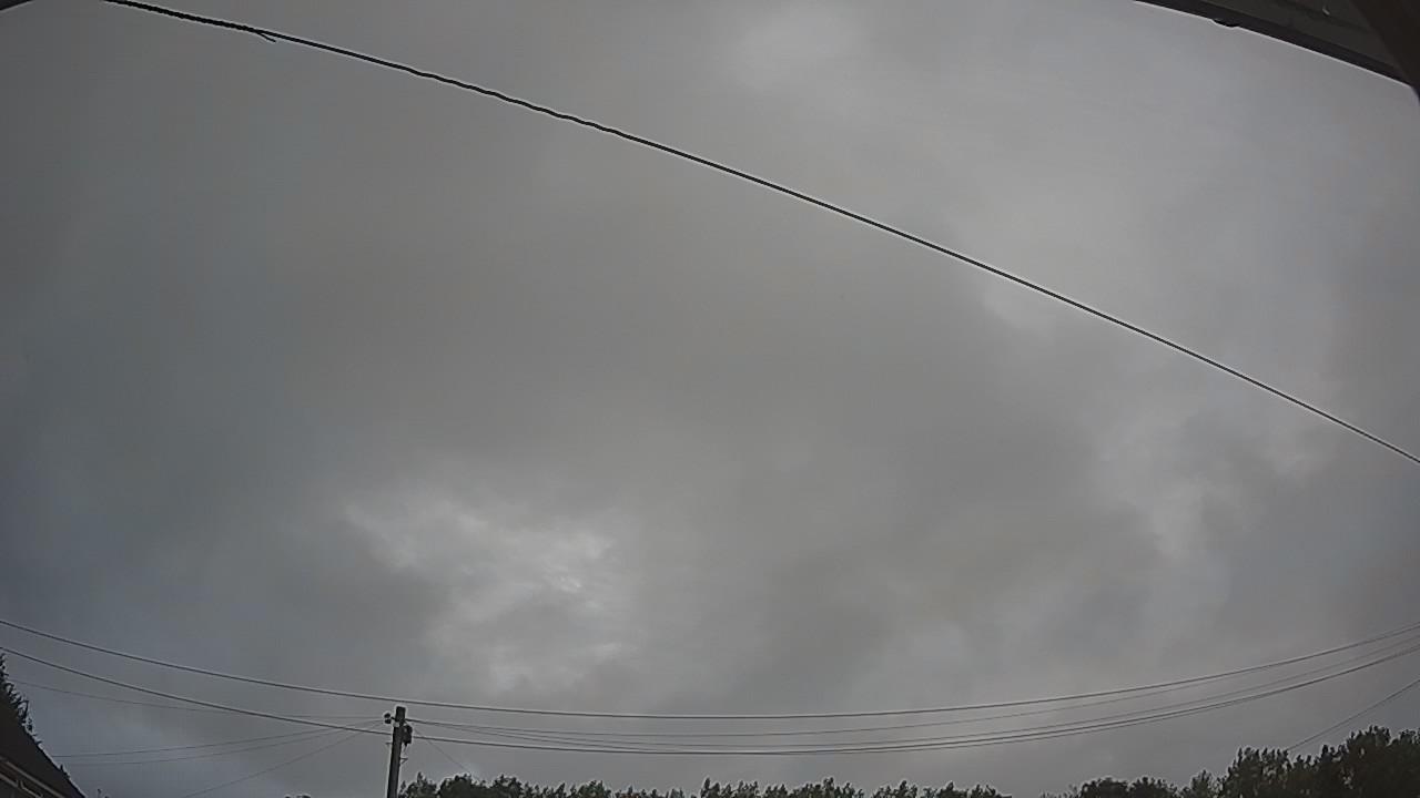 20260730_054754_cam2.jpg