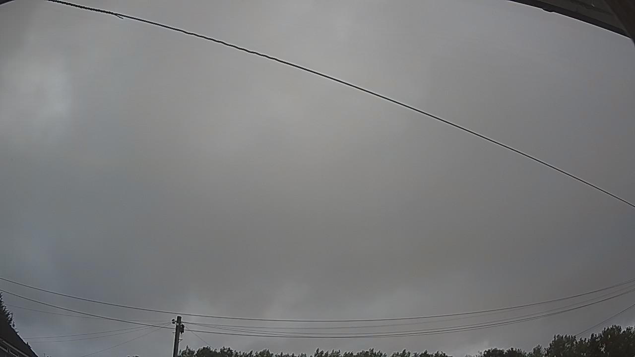 20260730_055221_cam2.jpg