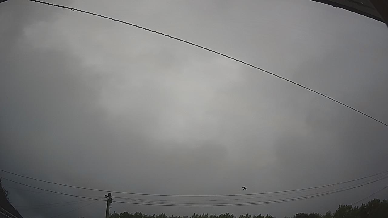 20260730_062237_cam2.jpg