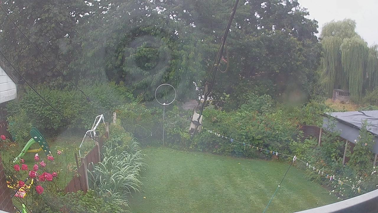 20260730_081610_cam1.jpg