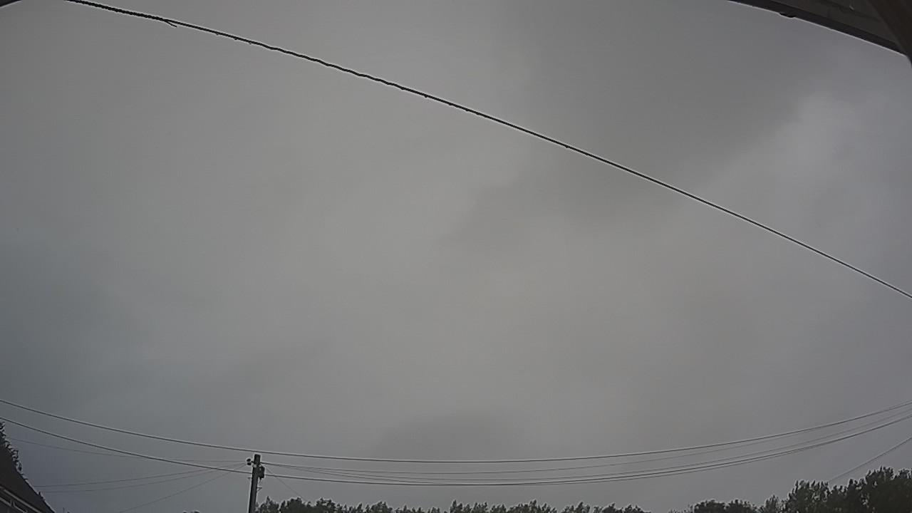 20260730_082020_cam2.jpg