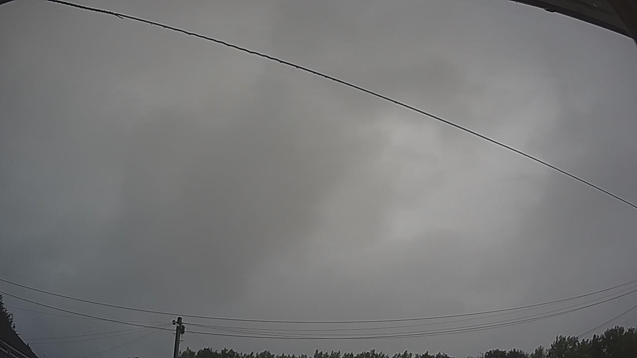 20260730_082429_cam2.jpg