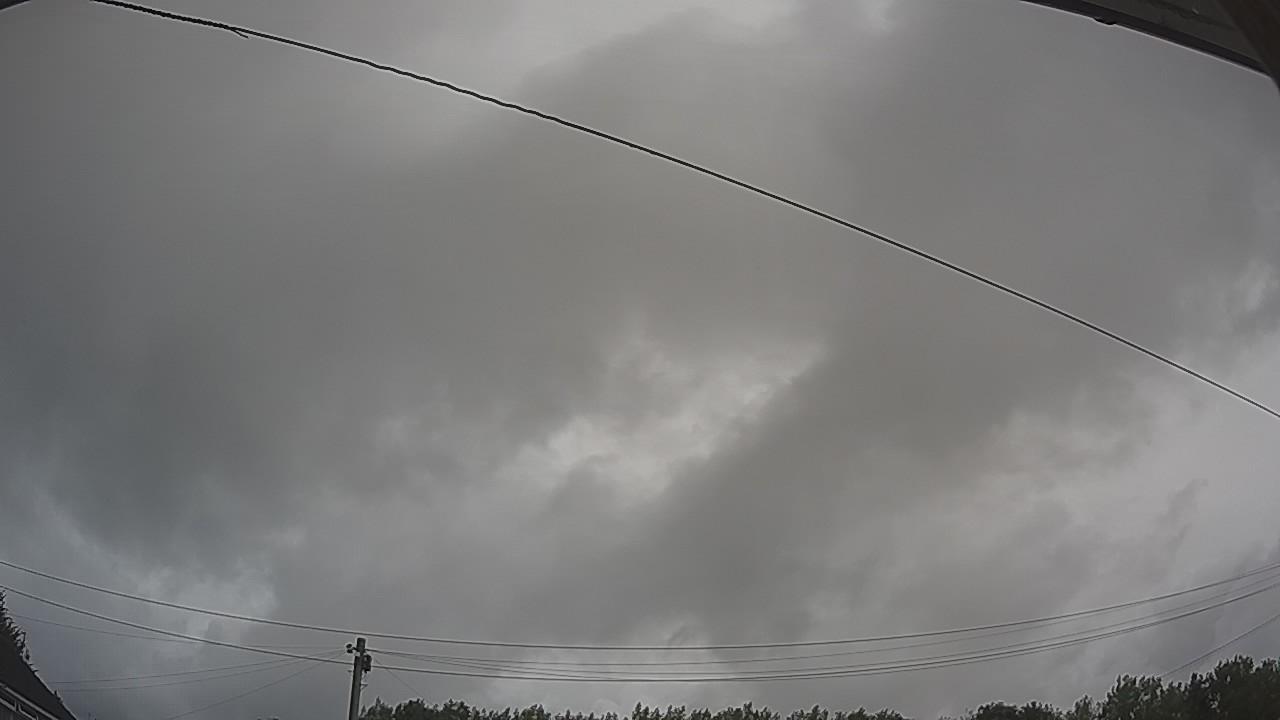 20260730_091620_cam2.jpg