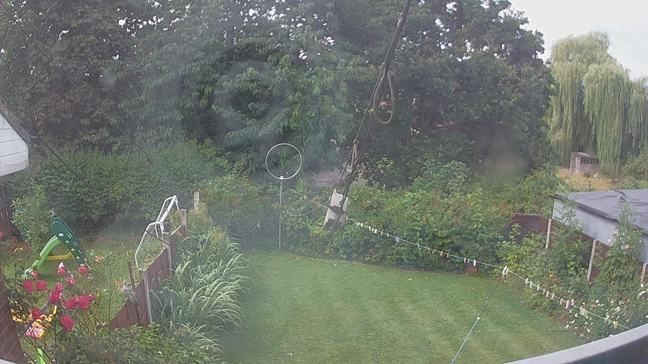 20260730_100147_cam1.jpg