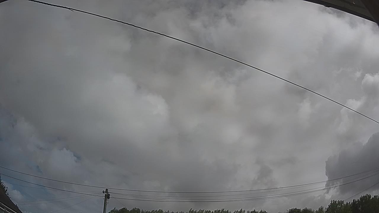 20260730_100148_cam2.jpg