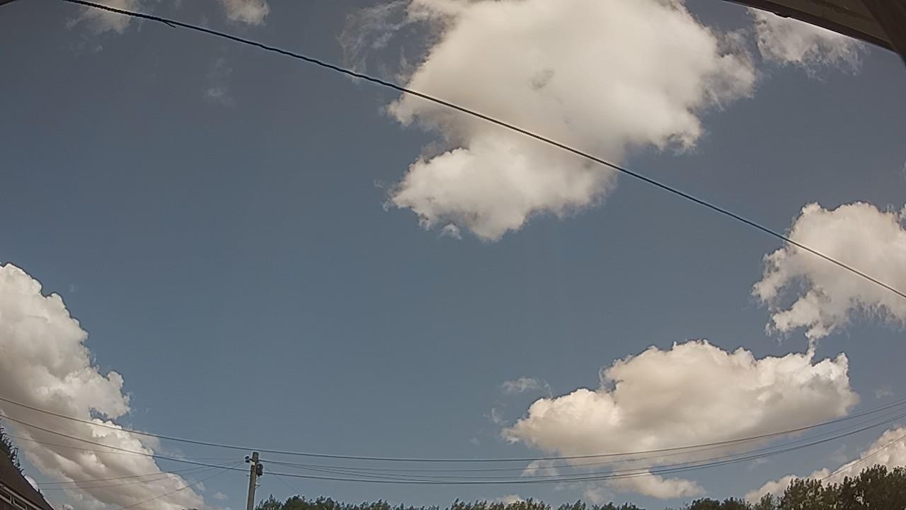 20260730_121146_cam2.jpg