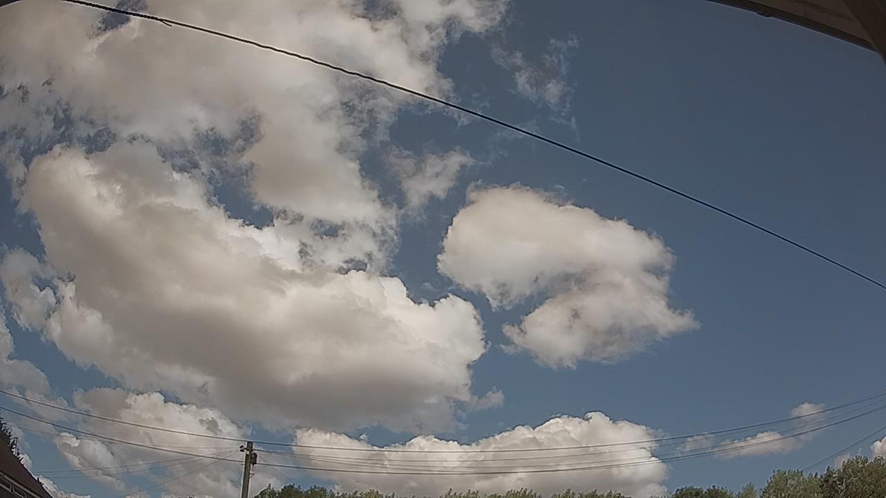 20260730_122445_cam2.jpg