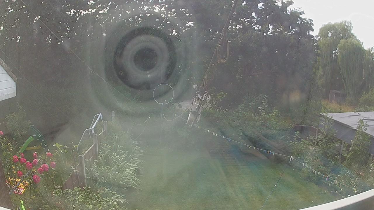 20260730_133645_cam1.jpg