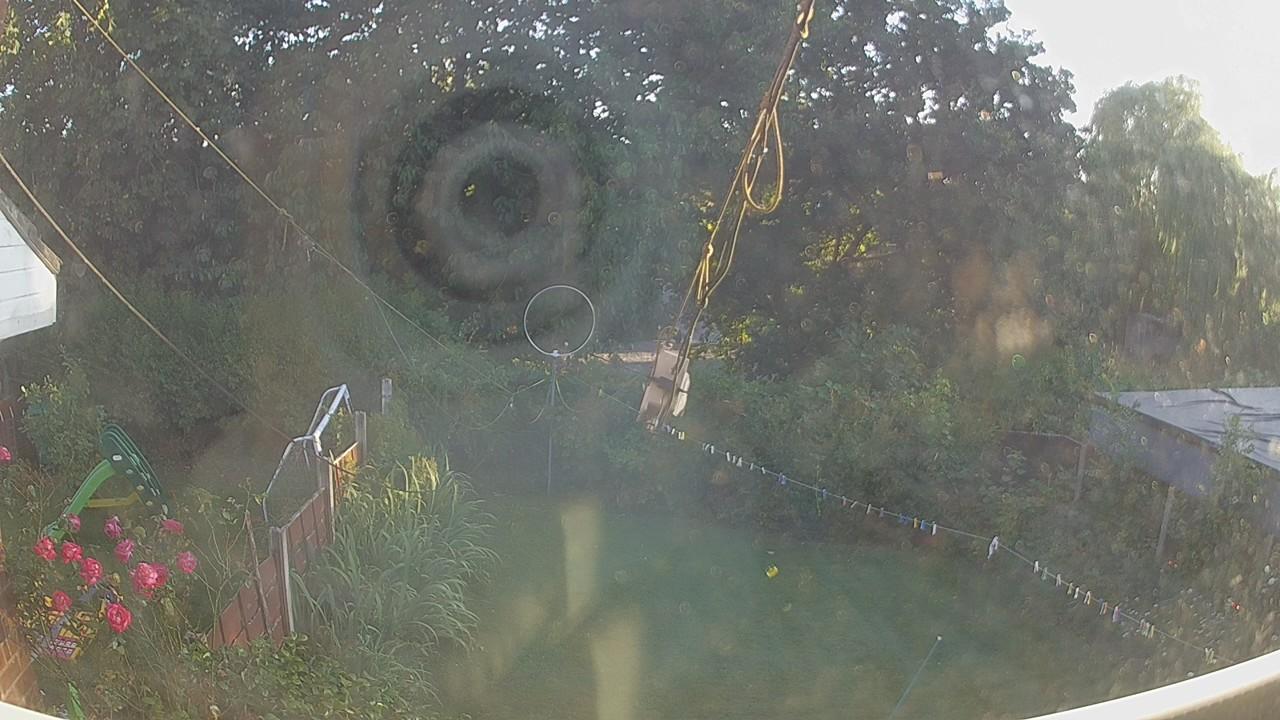 20260730_185235_cam1.jpg
