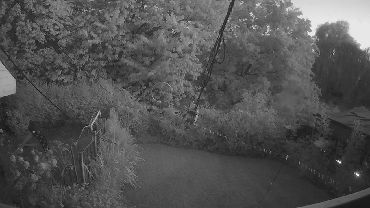 20260730_204126_cam1.jpg