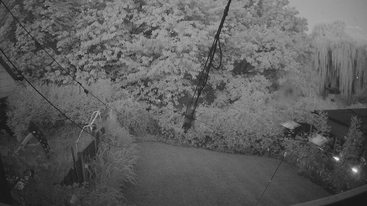20260731_034142_cam1.jpg