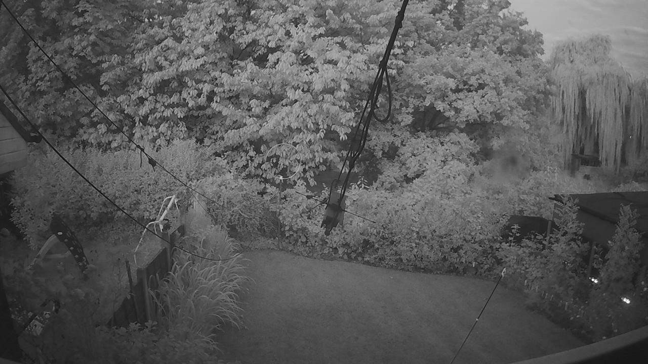 20260731_035531_cam1.jpg