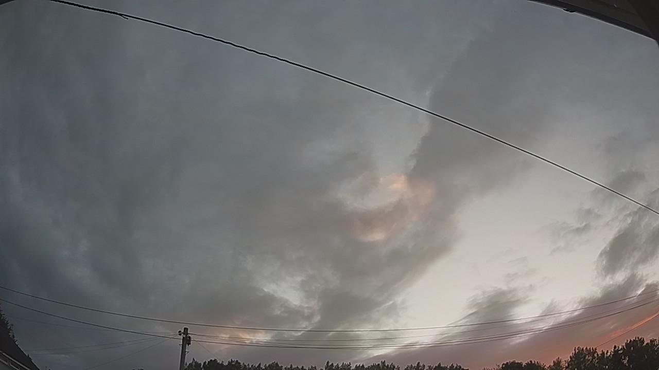 20260731_042849_cam2.jpg