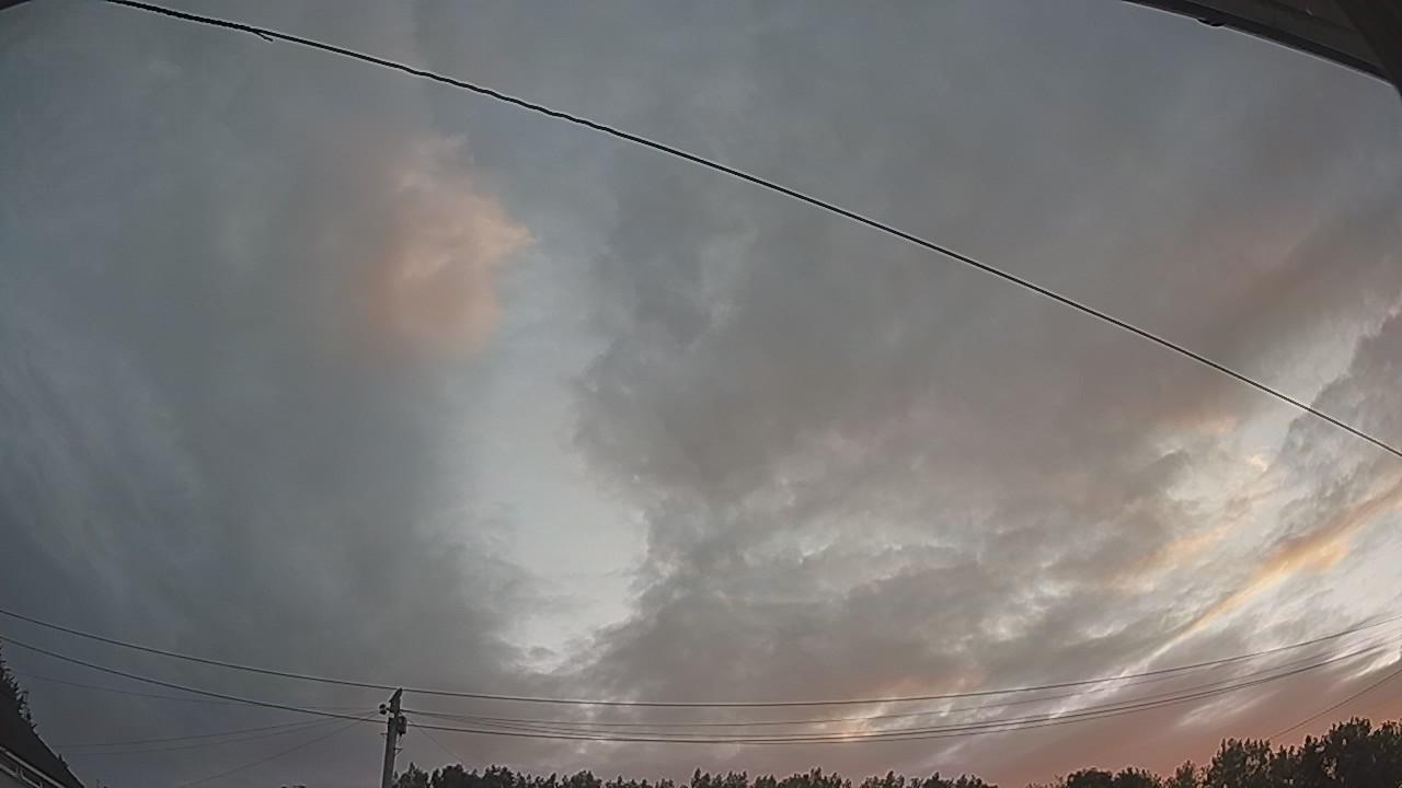 20260731_043325_cam2.jpg