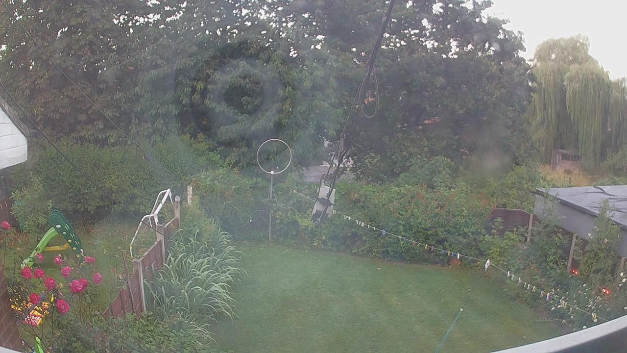 20260731_044236_cam1.jpg