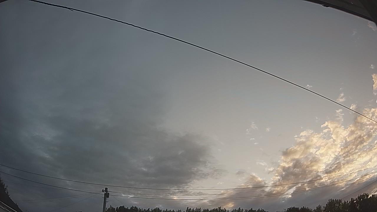 20260731_045150_cam2.jpg