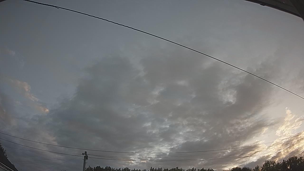 20260731_045626_cam2.jpg