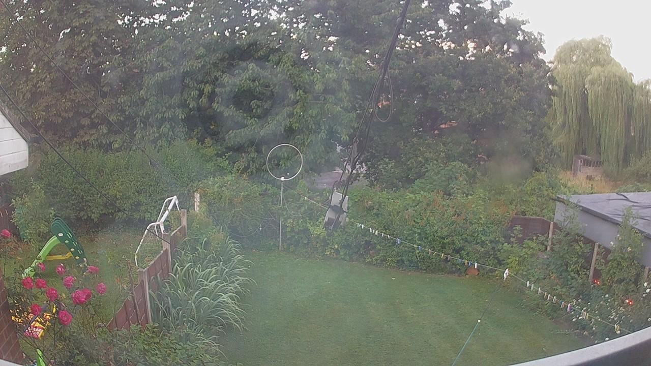 20260731_050101_cam1.jpg