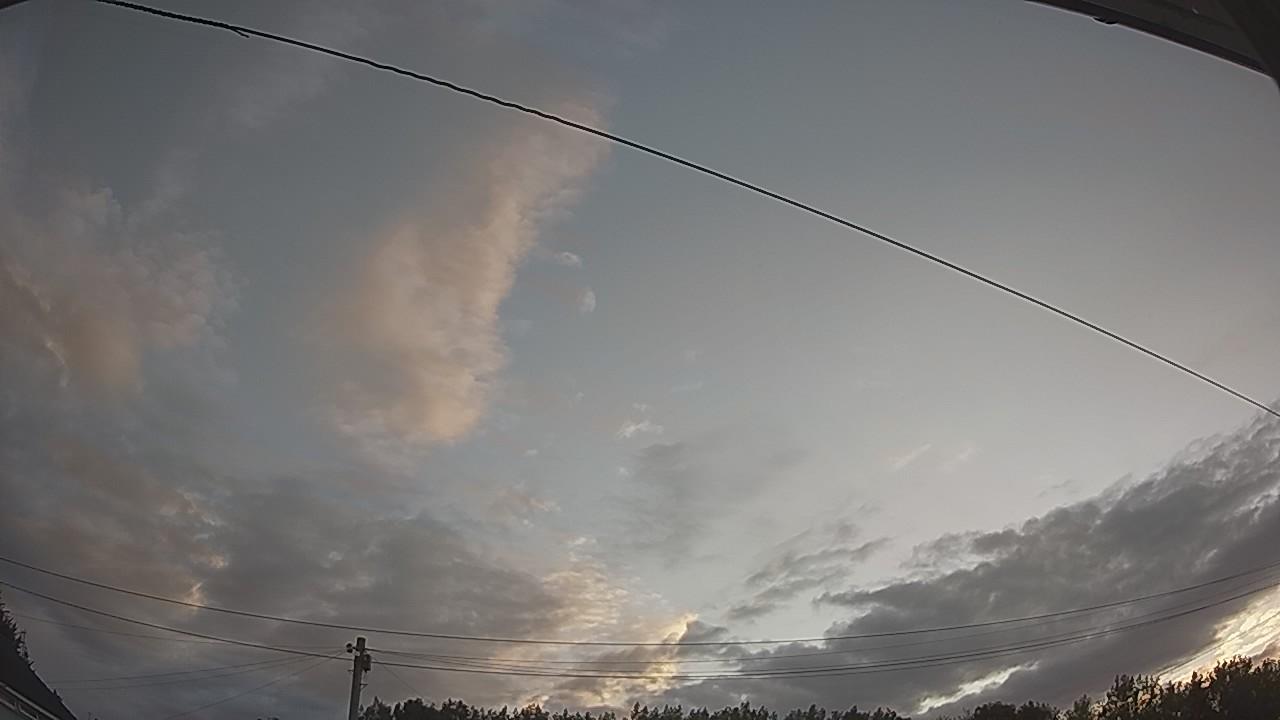 20260731_050102_cam2.jpg