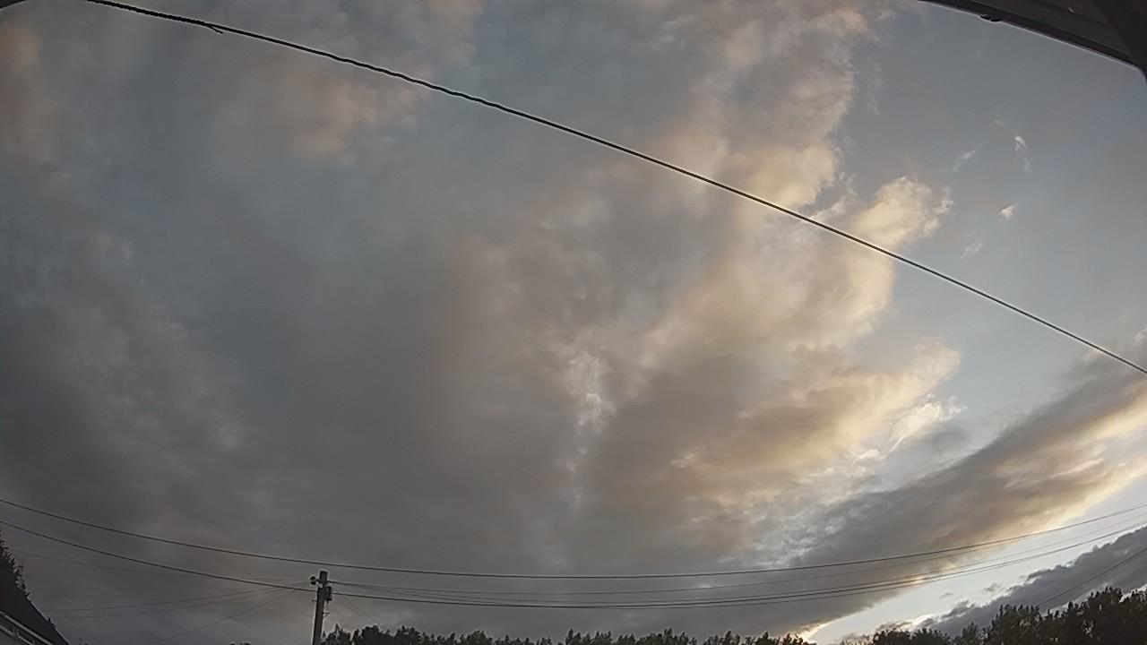 20260731_050538_cam2.jpg