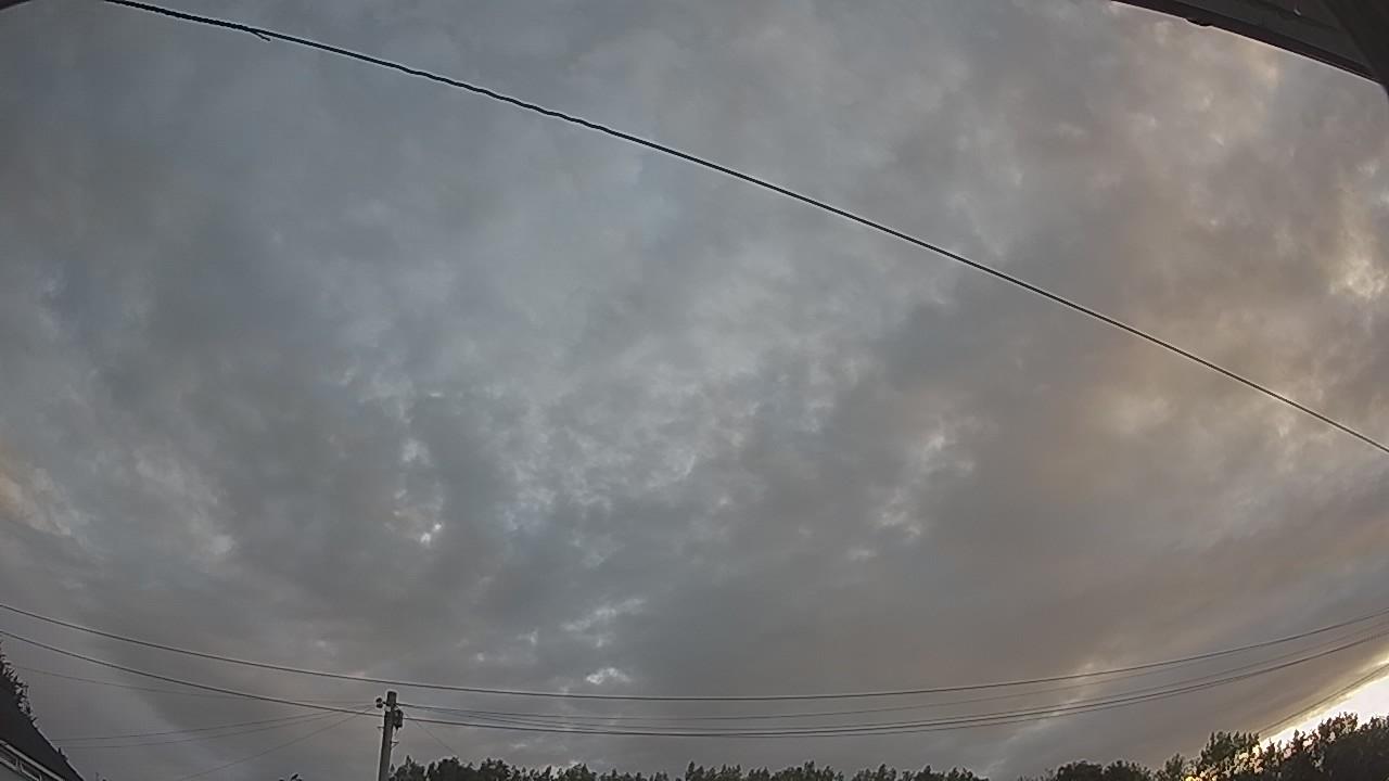 20260731_051014_cam2.jpg