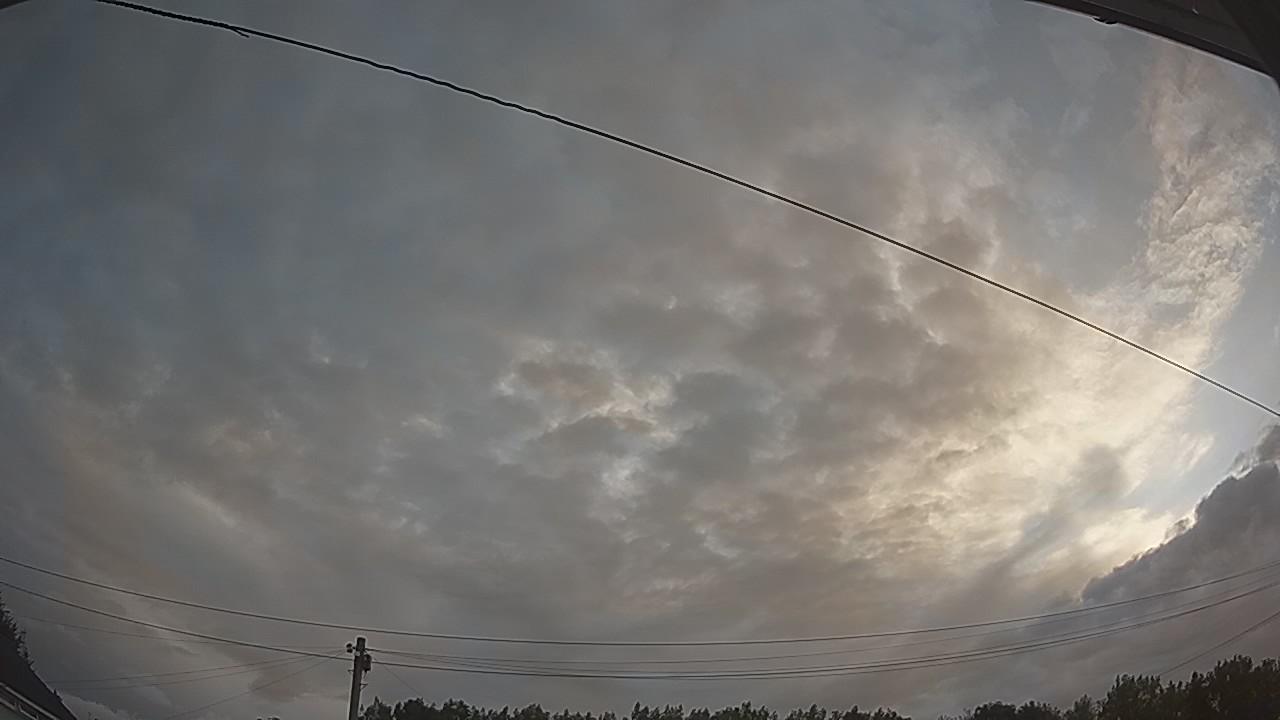 20260731_051926_cam2.jpg
