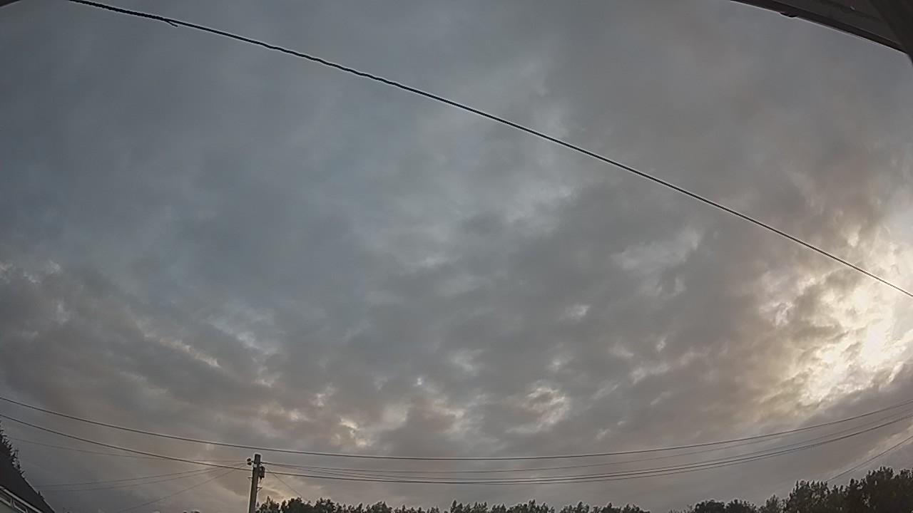20260731_052403_cam2.jpg