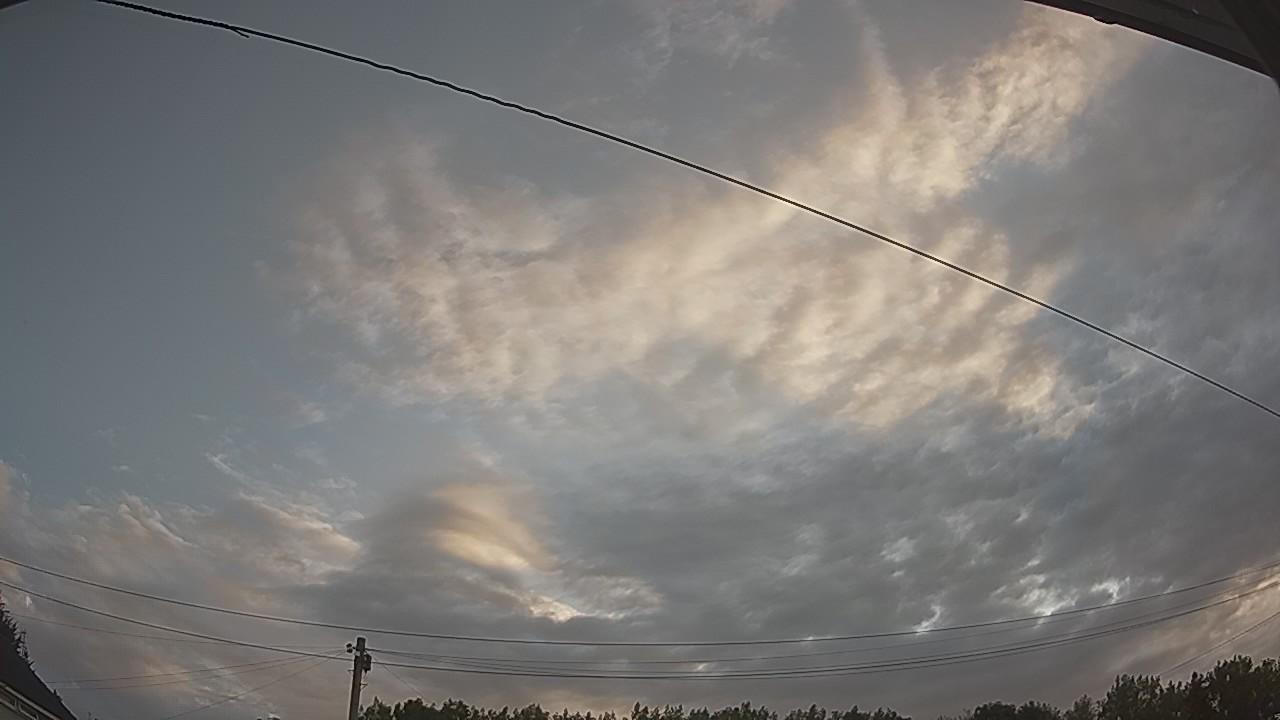 20260731_053324_cam2.jpg