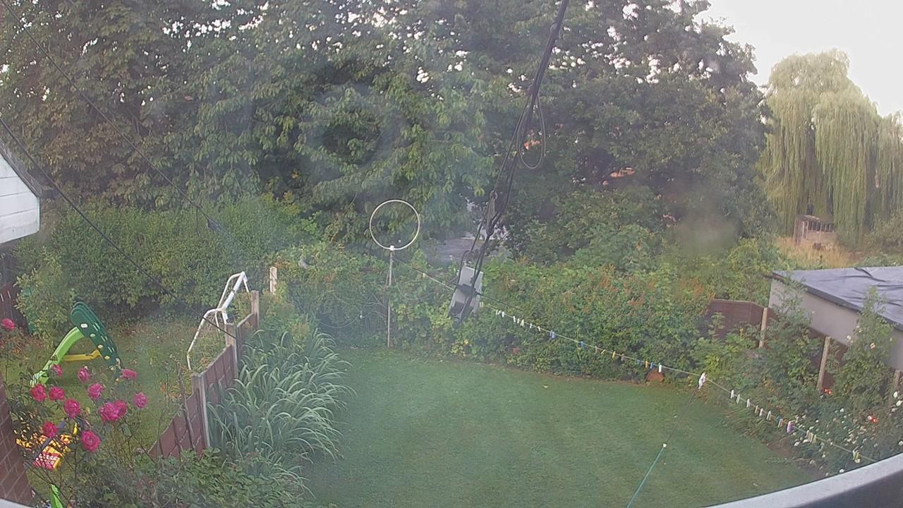 20260731_053808_cam1.jpg