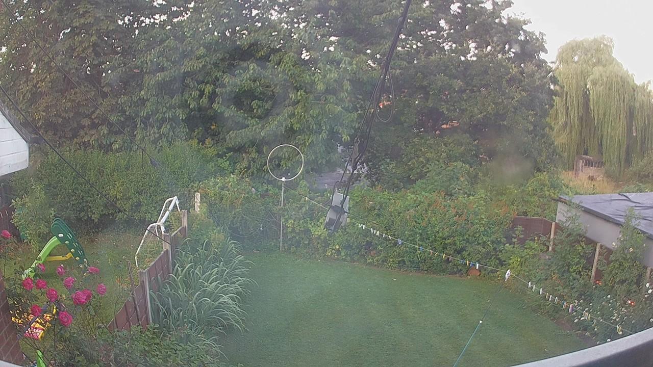 20260731_054253_cam1.jpg