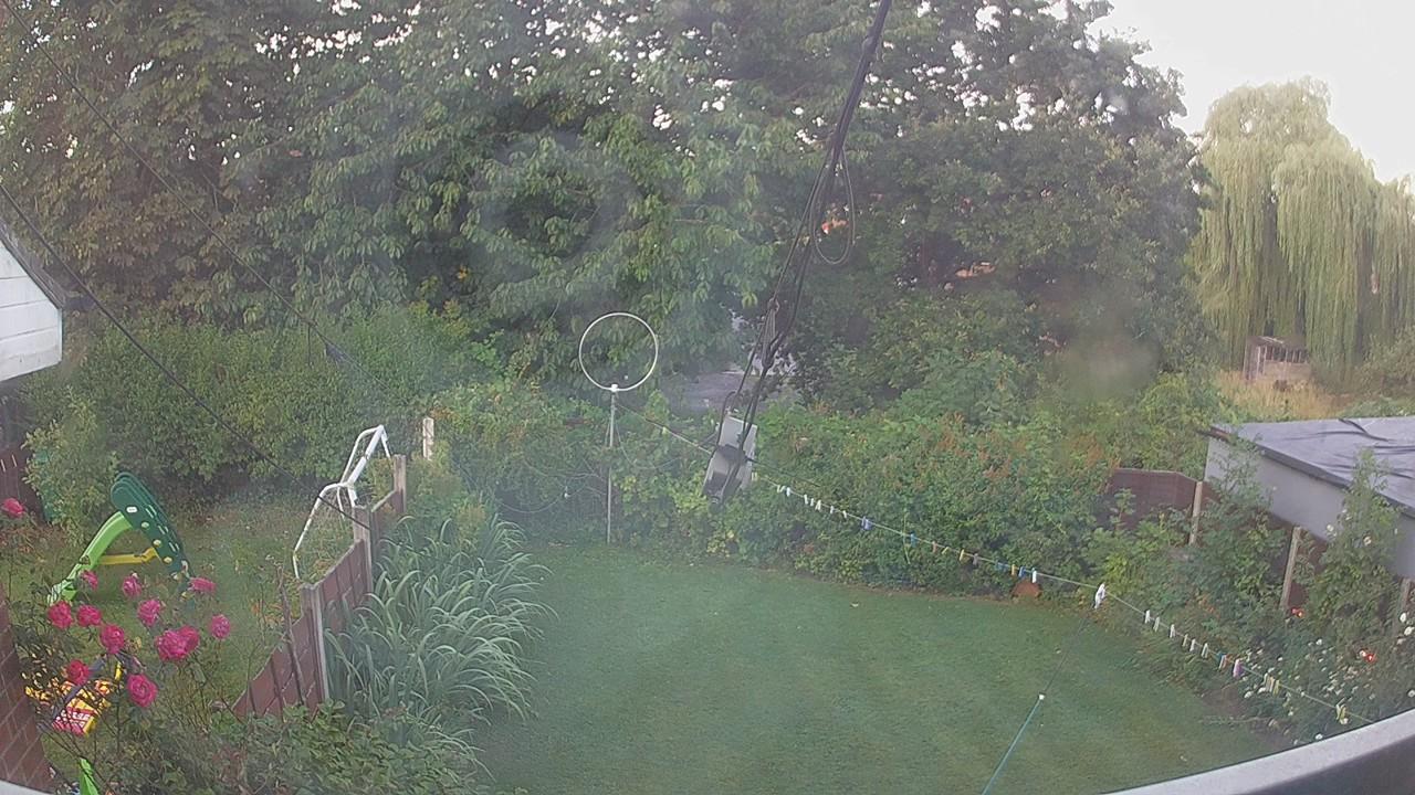 20260731_054739_cam1.jpg